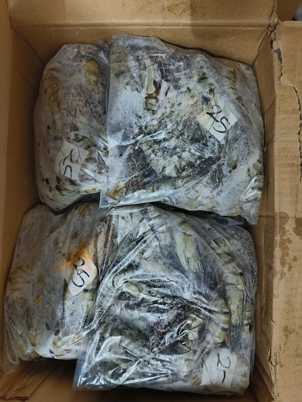 Udang Pancet Premium