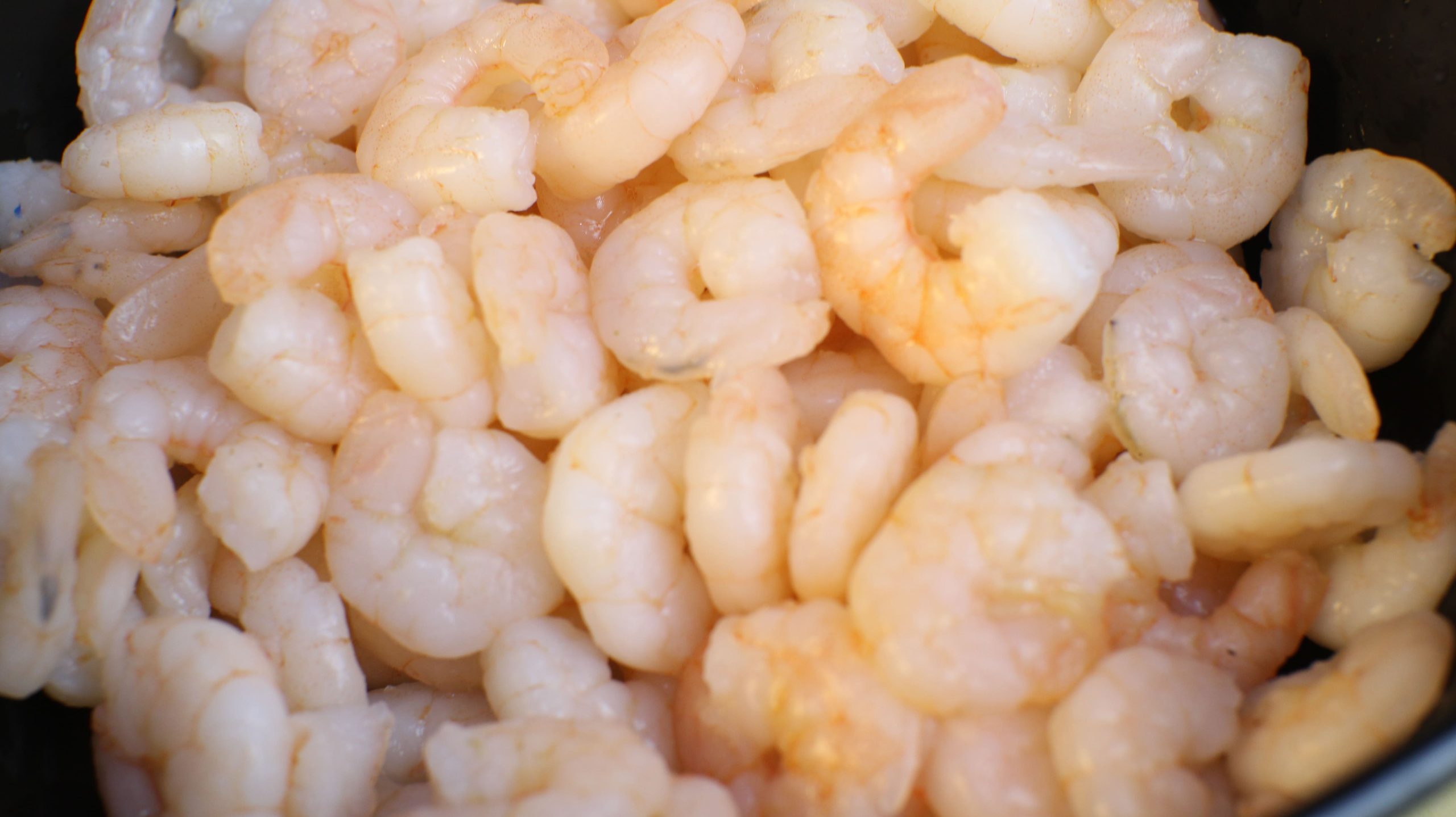 Ilustrasi Udang Kupas B2B