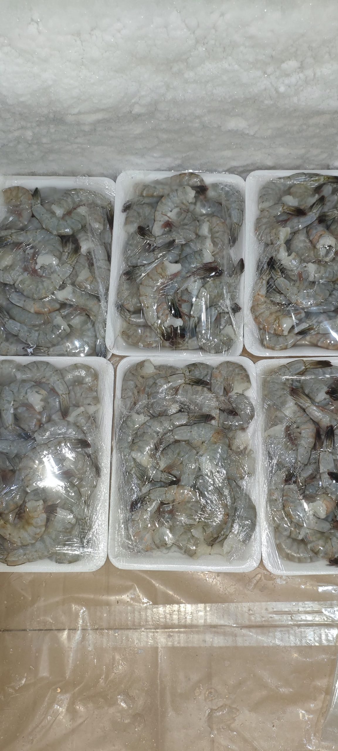 Udang Vaname Tanpa Kepala